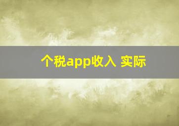 个税app收入 实际